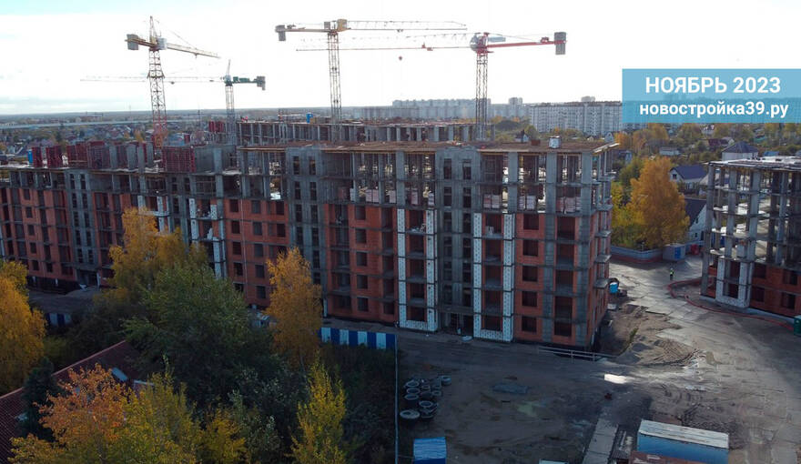 Ноябрь 2023